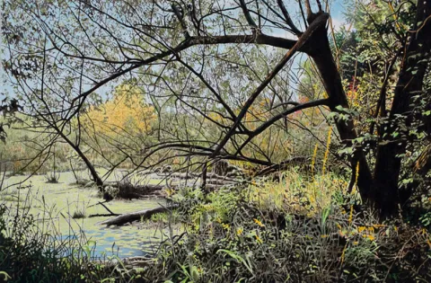 Comme le jour fut éclatant