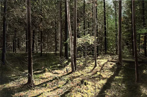 Je cherche le chemin