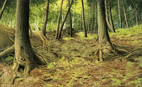 La Montagne Fantôme