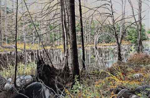 Le soir pourrait être beau