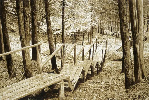 Le sentier de mon père