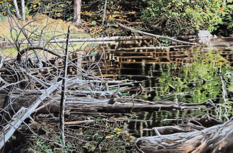 L’Envers et l’endroit