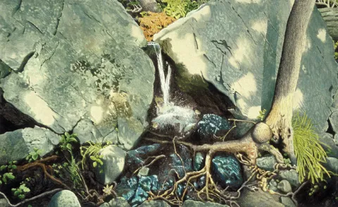 Temple de la naissance